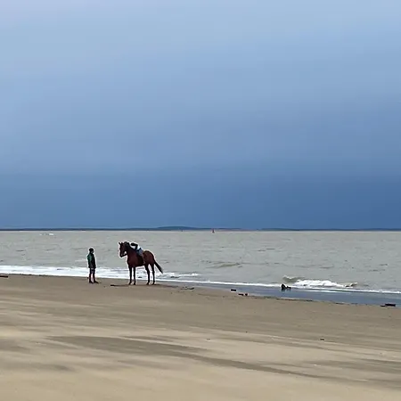 Large Mobile La Palmyre Bonne Anse Plage Siblu بيت للعطل *