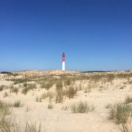 بيت للعطل Large Mobile La Palmyre Bonne Anse Plage Siblu