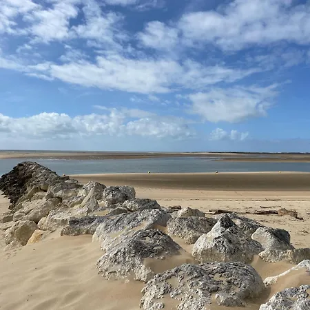 Large Mobile La Palmyre Bonne Anse Plage Siblu *